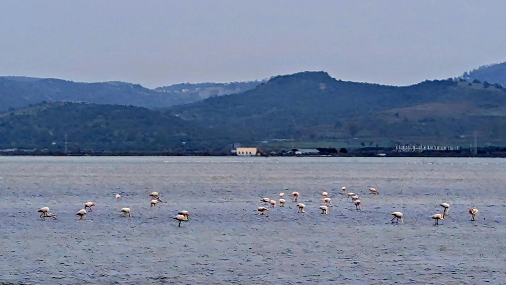 Adriatic Hostel Vlora