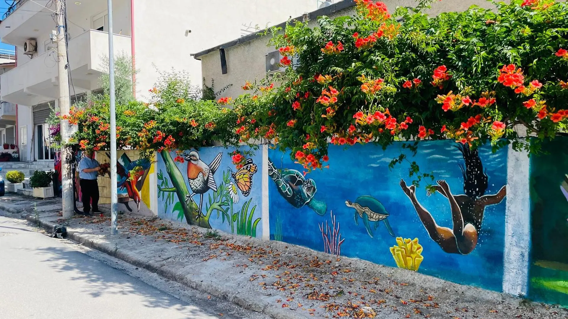 Adriatic Hostel Vlora Vlore