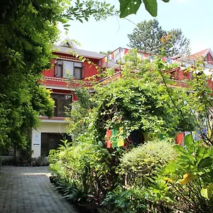Rokpa Affittacamere Kathmandu